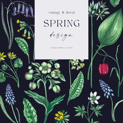 Elegant spring poster design. Wildflowers print in color. Woodland wild flower sketches. Floral background. Botanical card, invitation template . Hand drawn vector illustration, NOT AI